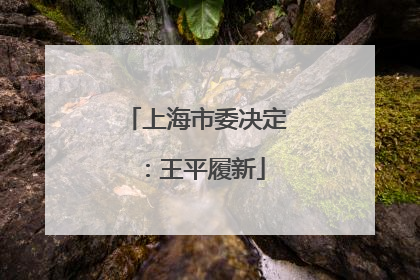 上海市委决定：王平履新