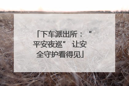 下车派出所：“平安夜巡” 让安全守护看得见