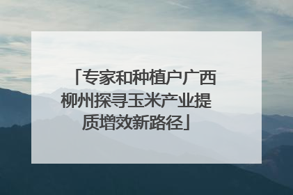 专家和种植户广西柳州探寻玉米产业提质增效新路径