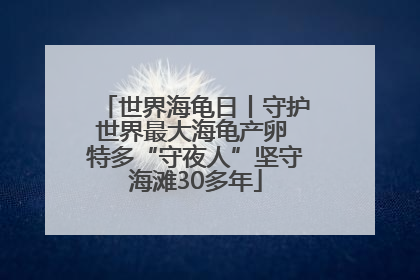 世界海龟日丨守护世界最大海龟产卵 特多“守夜人”坚守海滩30多年