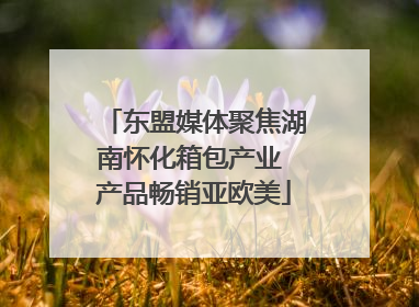 东盟媒体聚焦湖南怀化箱包产业 产品畅销亚欧美