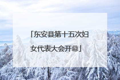 东安县第十五次妇女代表大会开幕