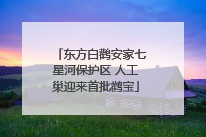东方白鹳安家七星河保护区 人工巢迎来首批鹳宝