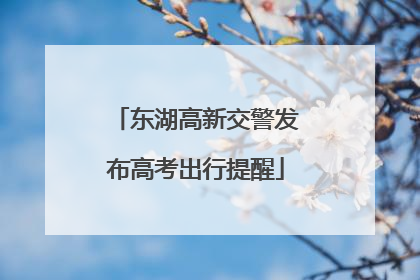 东湖高新交警发布高考出行提醒