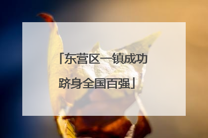 东营区一镇成功跻身全国百强