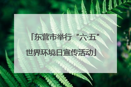 东营市举行“六·五”世界环境日宣传活动