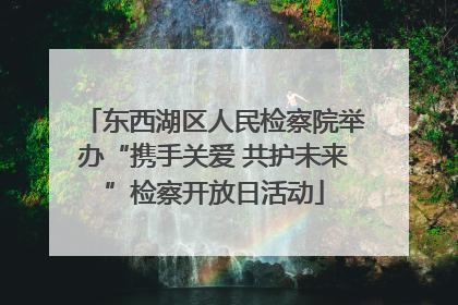 东西湖区人民检察院举办“携手关爱 共护未来”检察开放日活动