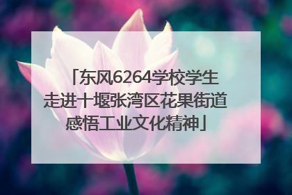 东风6264学校学生走进十堰张湾区花果街道感悟工业文化精神