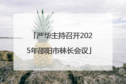 严华主持召开2025年邵阳市林长会议