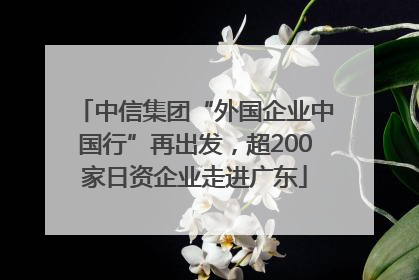 中信集团“外国企业中国行”再出发，超200家日资企业走进广东