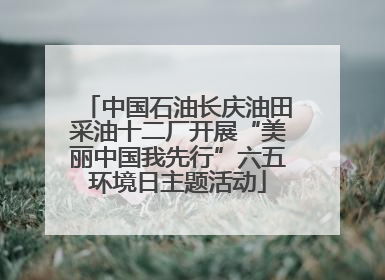 中国石油长庆油田采油十二厂开展“美丽中国我先行”六五环境日主题活动