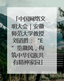 中国网络文明大会｜安徽师范大学教授刘道胜：“E”览徽风，构筑中华民族共有精神家园