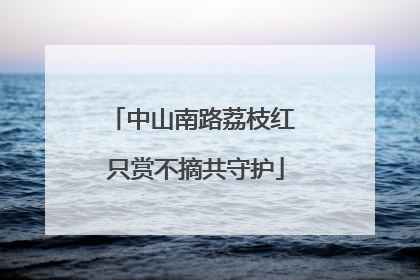 中山南路荔枝红 只赏不摘共守护