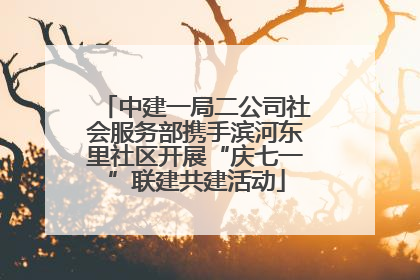 中建一局二公司社会服务部携手滨河东里社区开展“庆七一”联建共建活动