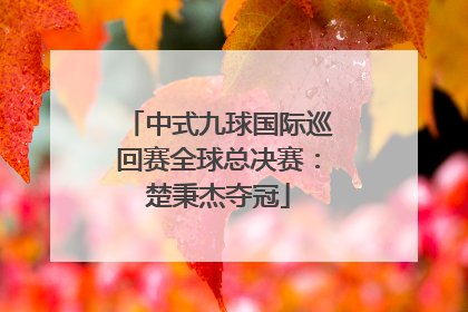 中式九球国际巡回赛全球总决赛：楚秉杰夺冠
