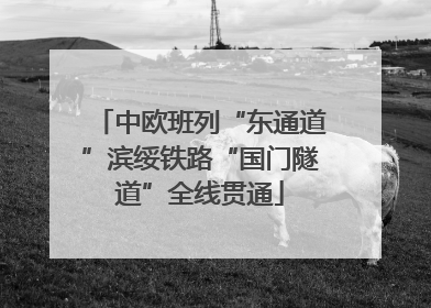 中欧班列“东通道”滨绥铁路“国门隧道”全线贯通