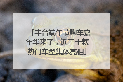 丰台端午节购车嘉年华来了，近二十款热门车型集体亮相