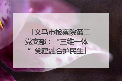 义马市检察院第二党支部：“三维一体”党建融合护民生