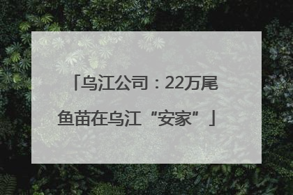 乌江公司：22万尾鱼苗在乌江“安家”