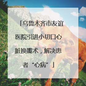 乌鲁木齐市友谊医院引进小切口心脏换瓣术，解决患者“心病”