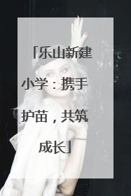 乐山新建小学：携手护苗，共筑成长
