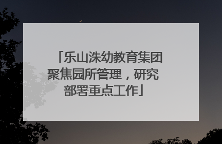 乐山洙幼教育集团聚焦园所管理，研究部署重点工作
