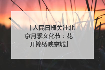 人民日报关注北京月季文化节：花开锦绣映京城
