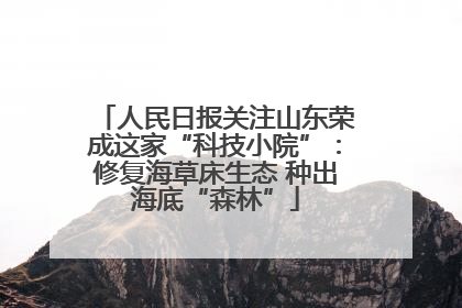 人民日报关注山东荣成这家“科技小院”：修复海草床生态 种出海底“森林”