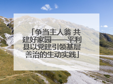 争当主人翁 共建好家园——平利县以党建引领基层善治的生动实践