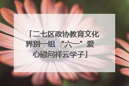 二七区政协教育文化界别一组 “六一”爱心慰问祥云学子