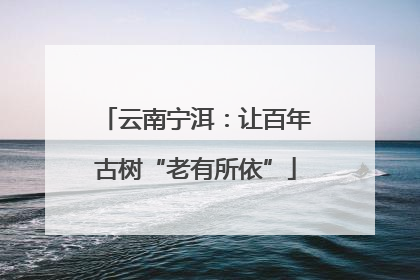 云南宁洱：让百年古树“老有所依”