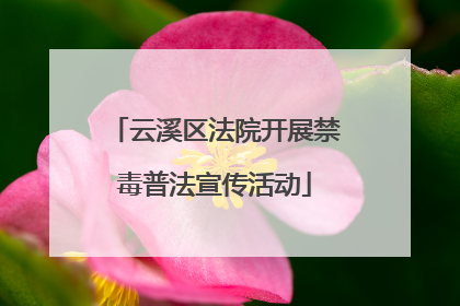 云溪区法院开展禁毒普法宣传活动
