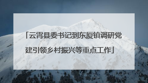 云霄县委书记到东厦镇调研党建引领乡村振兴等重点工作