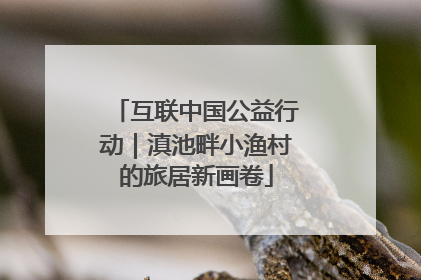 互联中国公益行动｜滇池畔小渔村的旅居新画卷