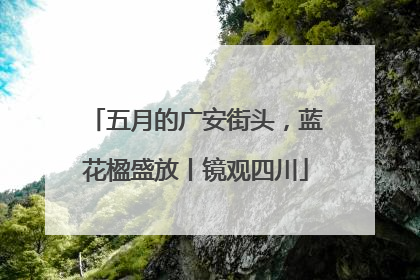 五月的广安街头，蓝花楹盛放丨镜观四川