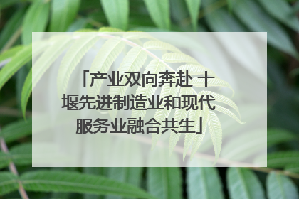 产业双向奔赴 十堰先进制造业和现代服务业融合共生