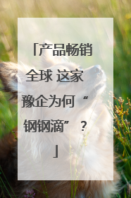 产品畅销全球 这家豫企为何“钢钢滴”？