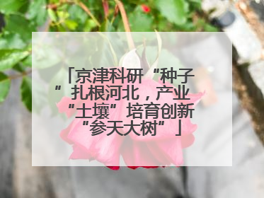 京津科研“种子”扎根河北，产业“土壤”培育创新“参天大树”