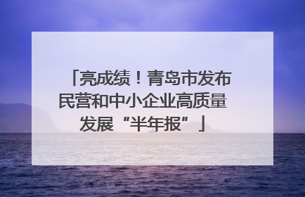 亮成绩！青岛市发布民营和中小企业高质量发展“半年报”