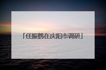 任振鹤在庆阳市调研