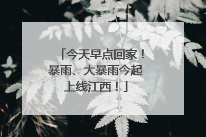 今天早点回家！暴雨、大暴雨今起上线江西！