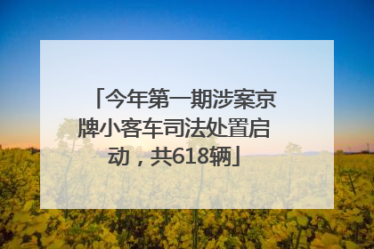 今年第一期涉案京牌小客车司法处置启动，共618辆