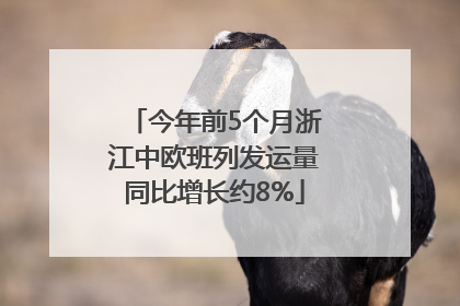 今年前5个月浙江中欧班列发运量同比增长约8%