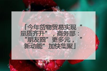 今年货物贸易实现“量质齐升”，商务部：“朋友圈”更多元，“新动能”加快集聚