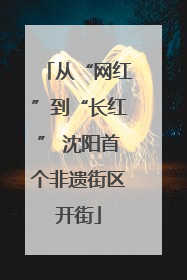 从“网红”到“长红” 沈阳首个非遗街区开街