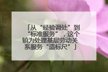 从“经验调处”到“标准服务”，这个镇为处理基层劳动关系服务“造标尺”