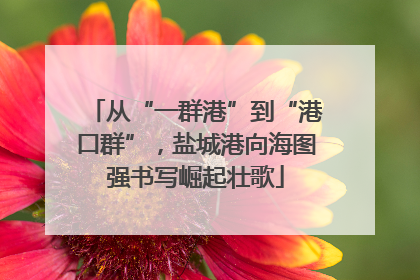 从“一群港”到“港口群”，盐城港向海图强书写崛起壮歌