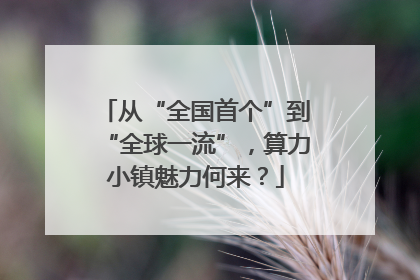 从“全国首个”到“全球一流”，算力小镇魅力何来？