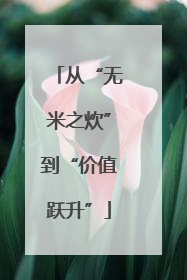 从“无米之炊”到“价值跃升”