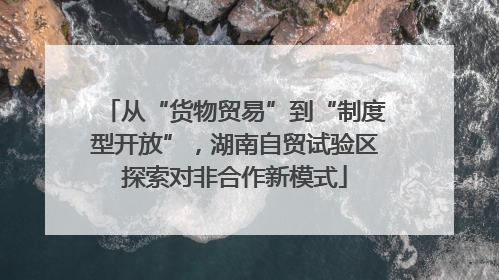 从“货物贸易”到“制度型开放”，湖南自贸试验区探索对非合作新模式